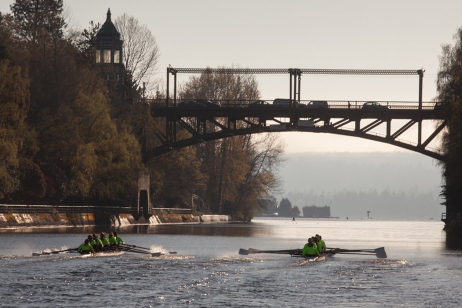 caption: University of Washington crew teams host the German national team Saturday, May 4th in the annual Windemere Classic
