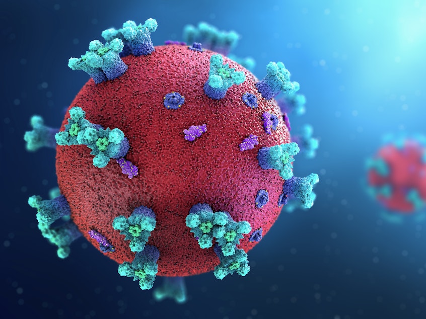 caption: Researchers are making progress in understanding the human immune response to the SARS-CoV-2 virus and the vaccine to prevent COVID-19.