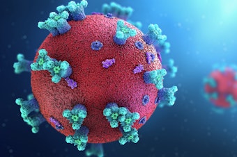 caption: Researchers are making progress in understanding the human immune response to the SARS-CoV-2 virus and the vaccine to prevent COVID-19.