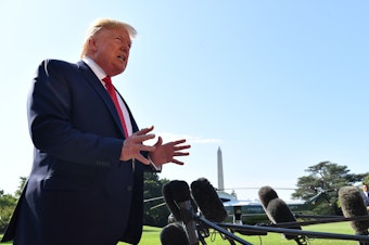 caption: President Trump speaks to the press on the South Lawn of the White House Friday. He called for background checks amid pressure to act on gun legislation.