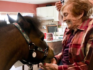 caption: Dorothy Pritchard, 92, gives Trusty, a miniature therapy horse, a carrot on a recent visit to Jamie’s Place, the retirement home in Winthrop, Washington. 
