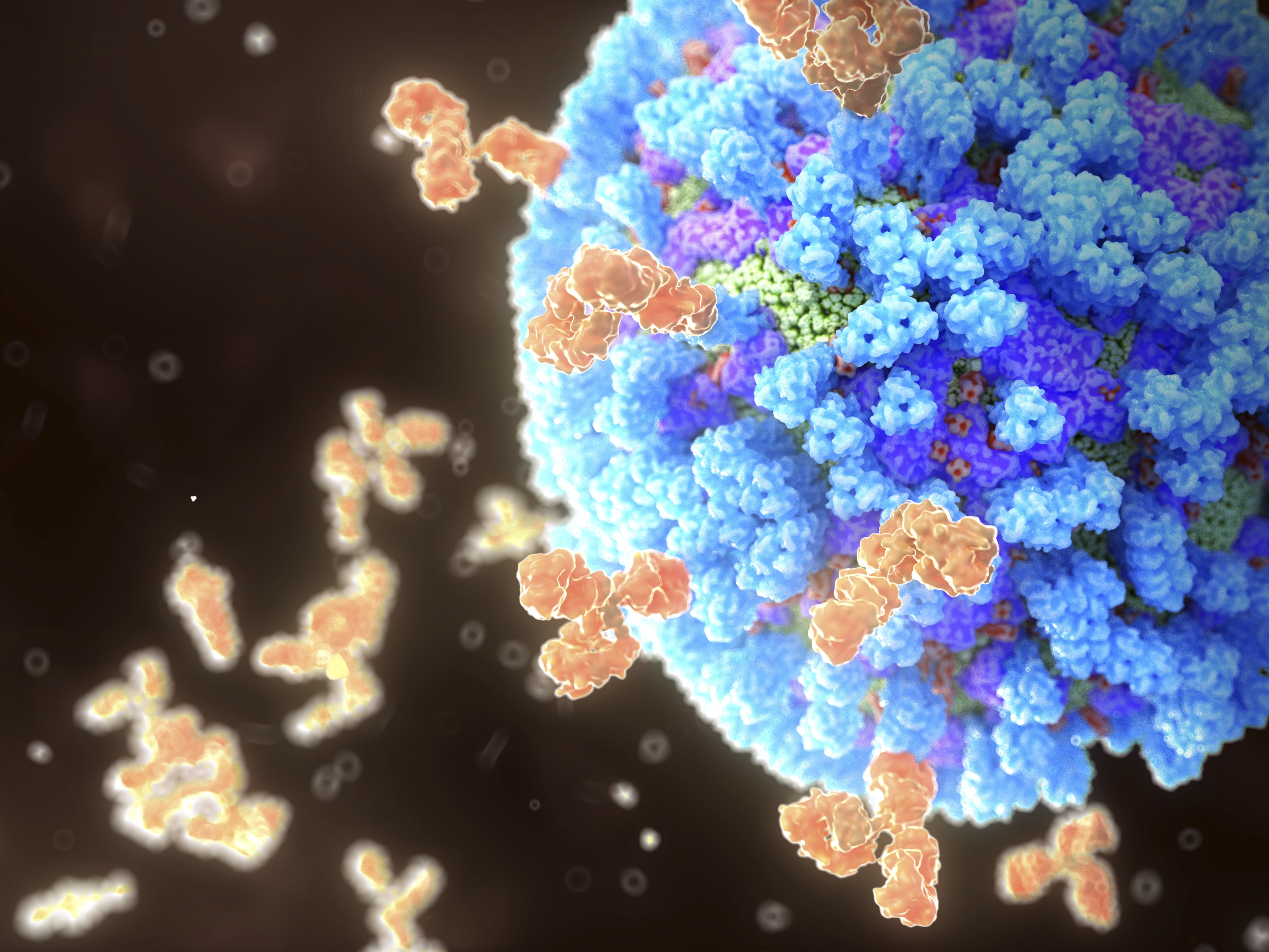 caption: A universal vaccine against flu wouldn't have to be updated to match seasonal changes in circulating strains.