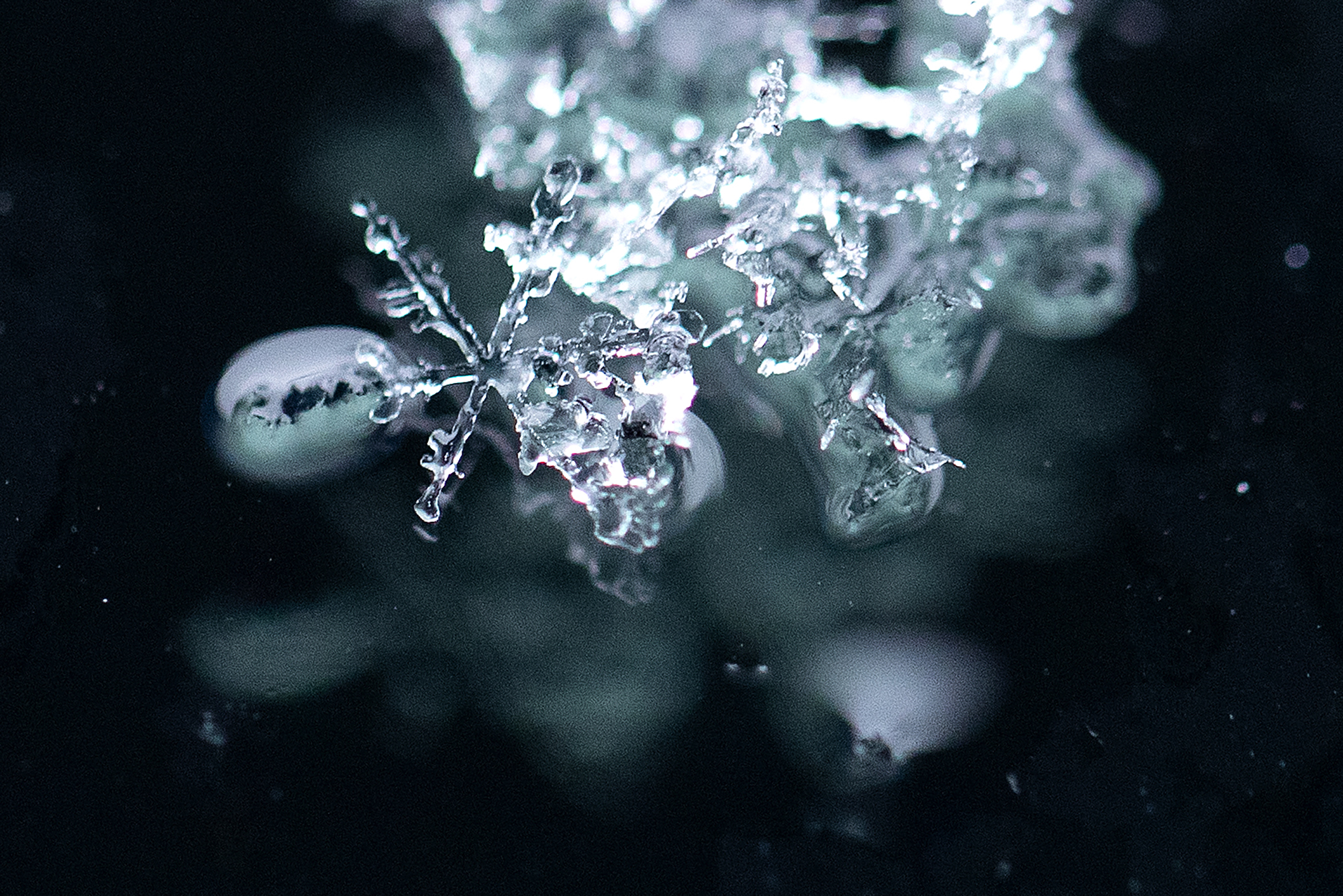 caption: Snowflakes fall on Friday, March 13, 2026, in Seattle’s Ballard neighborhood. 