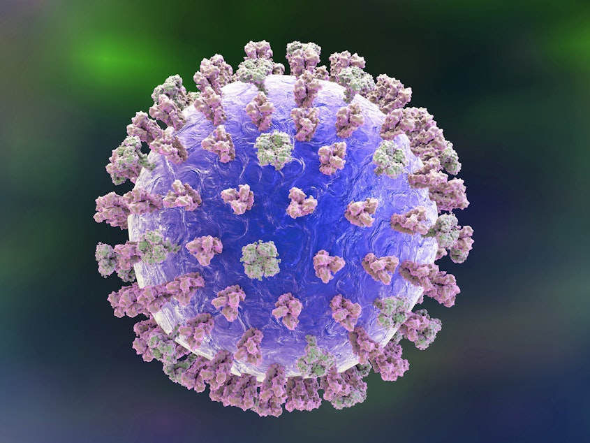 caption: Most efforts to develop a universal flu vaccine have focused on the lollipop-shaped hemagglutinin protein (pink in this illustration of a flu virus).