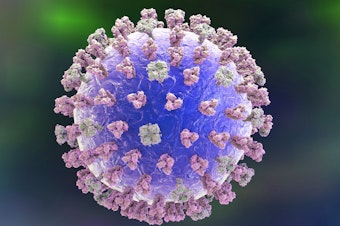 caption: Most efforts to develop a universal flu vaccine have focused on the lollipop-shaped hemagglutinin protein (pink in this illustration of a flu virus).