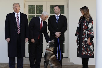 caption: President Trump, Vice President Pence and first lady Melania Trump present Conan, the military working dog injured in the successful operation targeting Islamic State leader Abu Bakr al-Baghdadi, before the media in the Rose Garden at the White House on Monday.