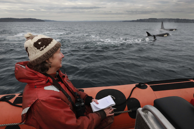 caption: Lynda Mapes on assignment with the southern resident orcas in Central Puget Sound.