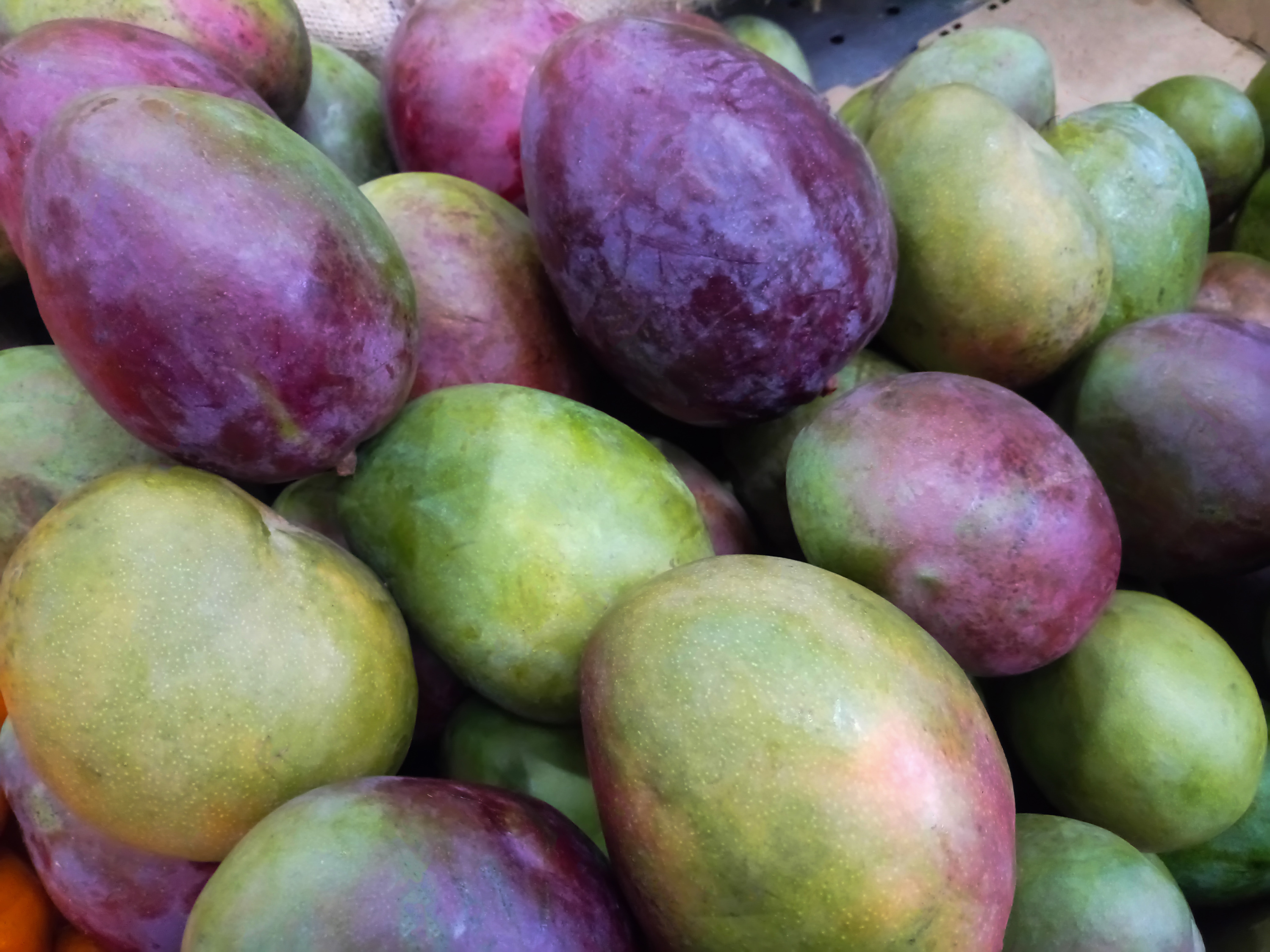caption: Fresh mangoes at a market stall in Caracas, Venezuela.