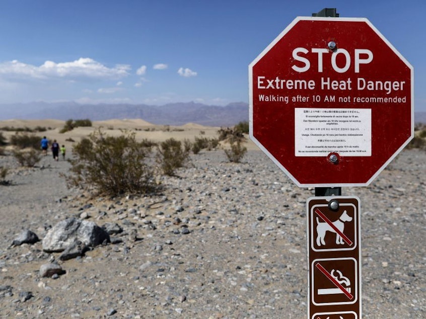 caption: On August 16, a 130 degree temperature was recorded in Death Valley National Park, Calif. Now a committee of scientists is working to verify this temperature which might turn out to be one of the hottest ever recorded.