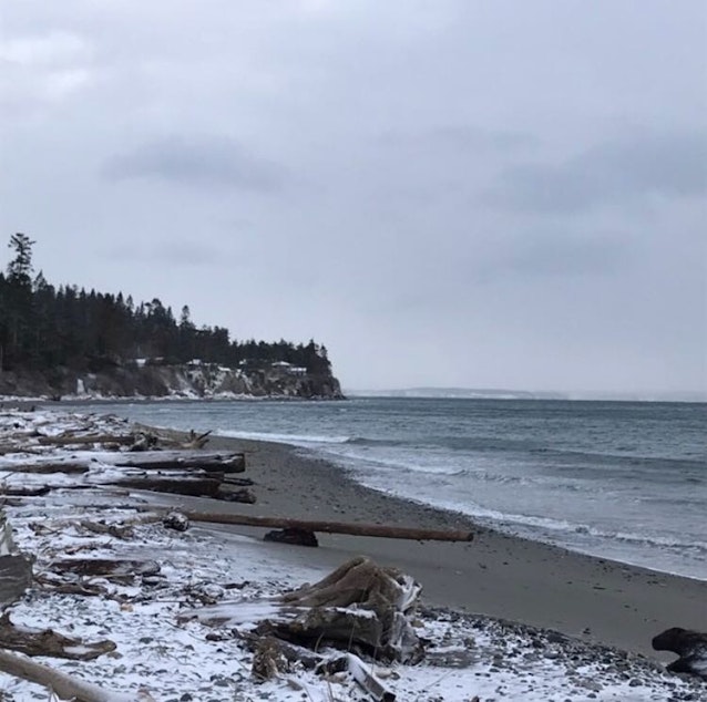 caption: The beach at Marrowstone Island, Washington state, on Monday, Feb. 4, 2019.