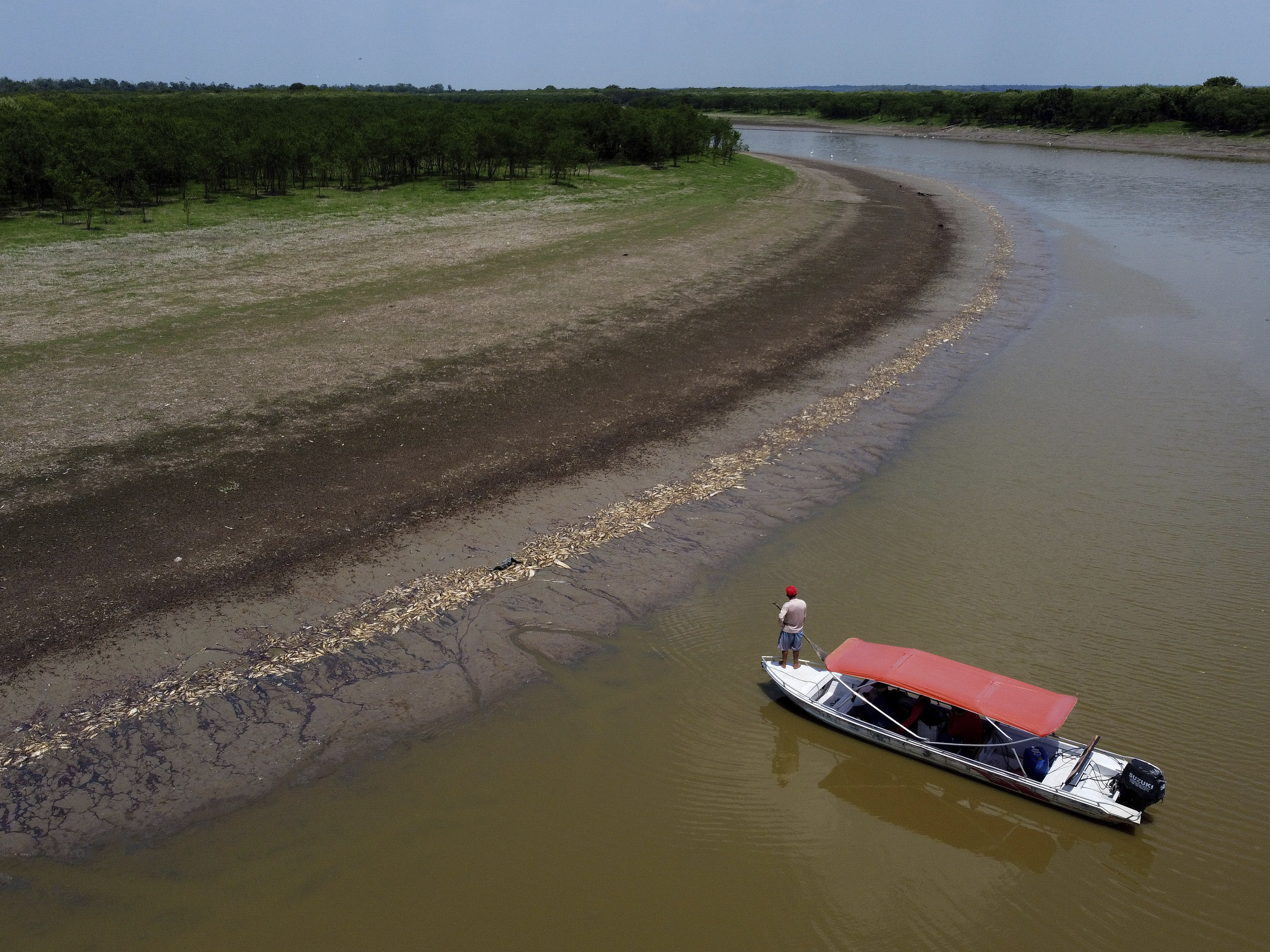 caption: A fisherman stands on his boat as he navigates near thousands of dead fish awash on the banks of Piranha Lake due to a severe drought in the state of Amazonas, in Manacapuru, Brazil, Wednesday, Sept. 27, 2023.