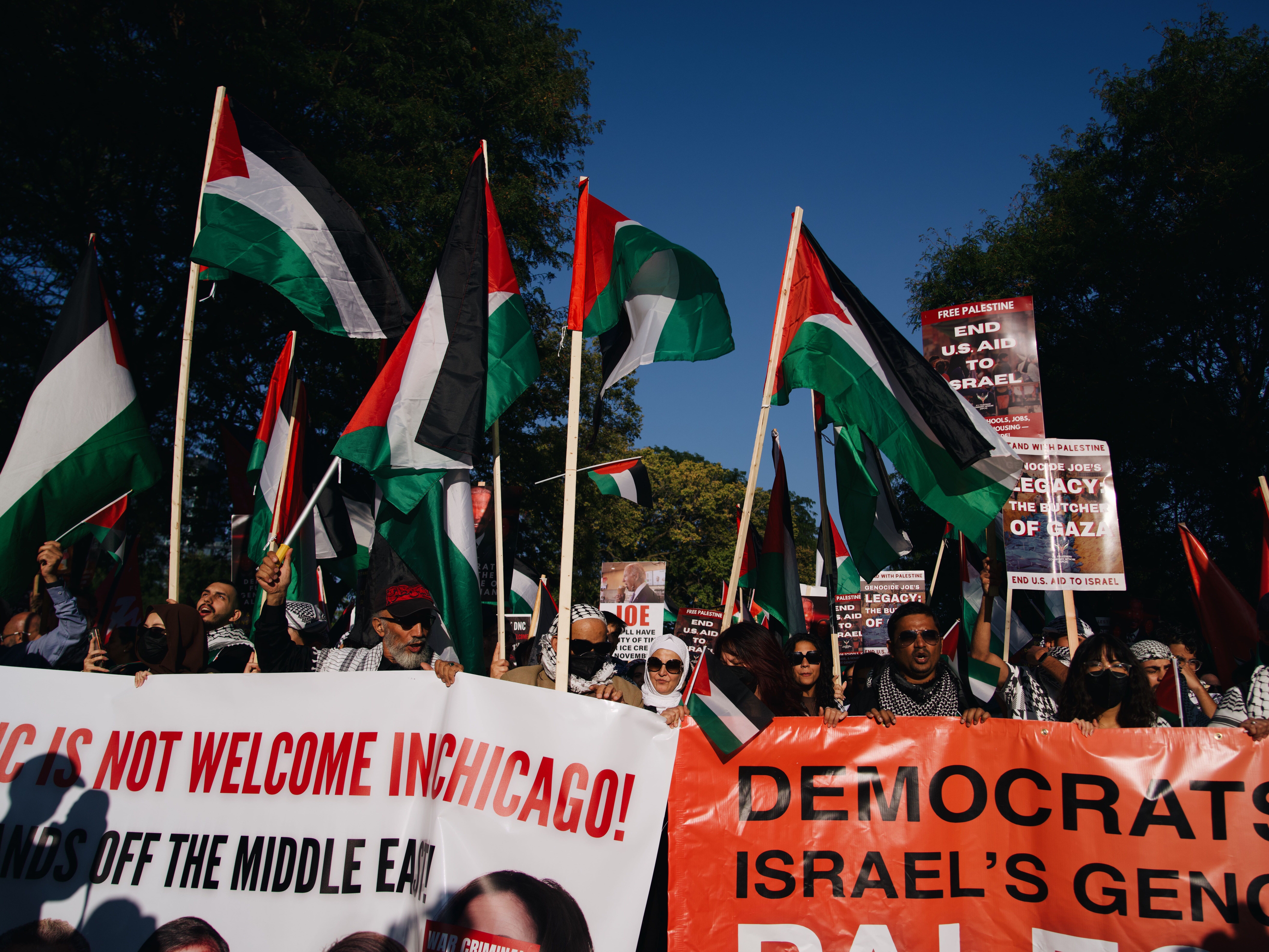 caption: Protestors march from Union Square in Chicago during the DNC.