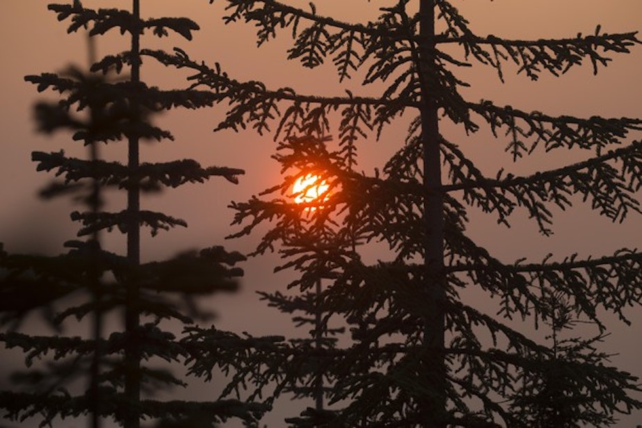 caption: <p>Smoke from wildfires burning in the Umpqua National Forest is visible through the trees in this Aug. 31, 2017 photo.</p>