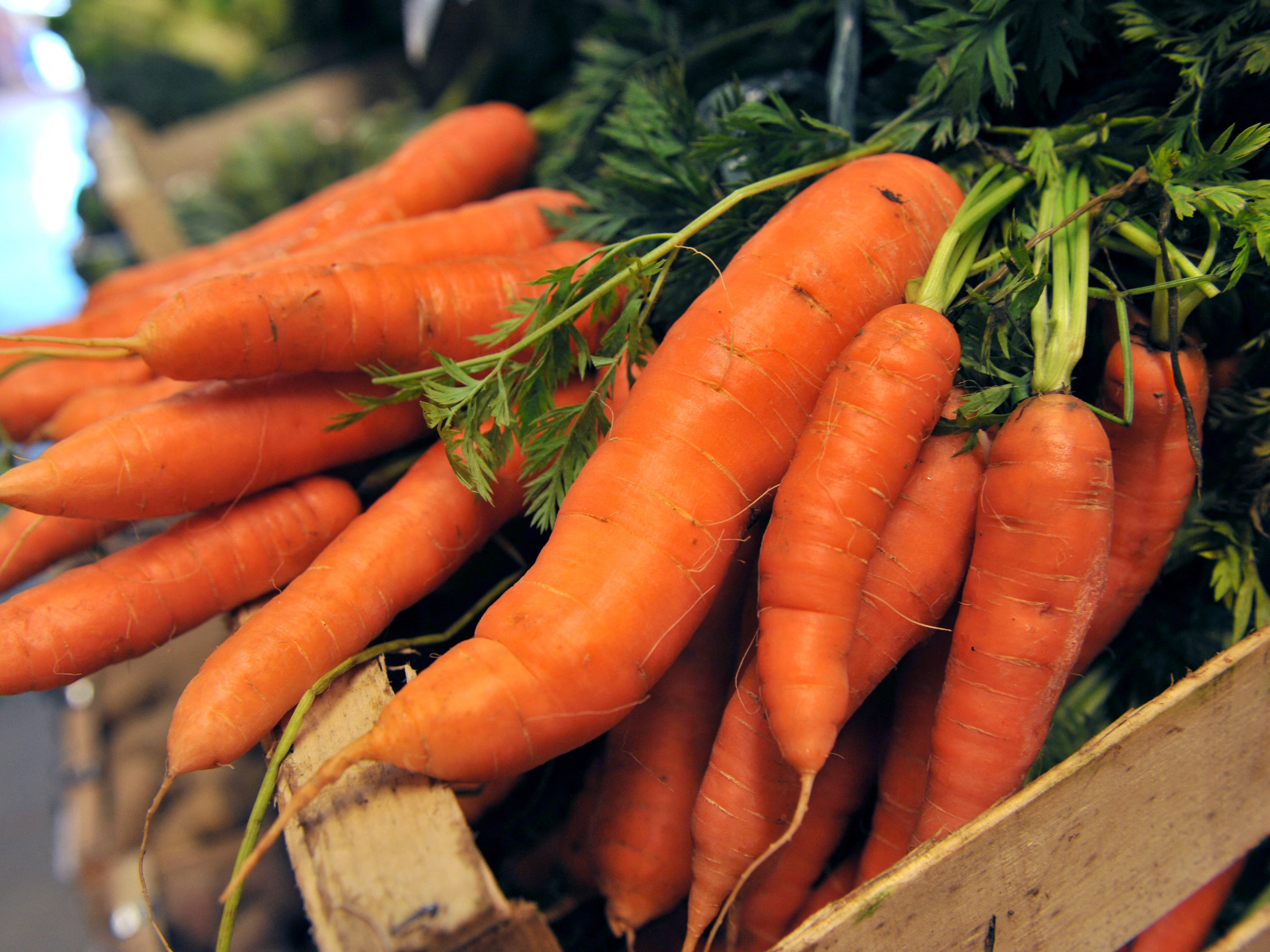 caption: Federal health officials say the current E. coli outbreak is linked to organic whole bagged carrots and baby carrots sold by Grimmway Farms.