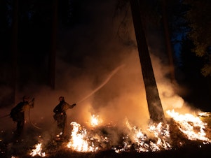 caption: Fire crews manage a back fire in Sly Park, Calif., fighting the Caldor Fire on Aug. 23. <a href="https://www.capradio.org/articles/2021/08/25/photos-caldor-fire-leaves-destroyed-homes-difficult-firefight-in-el-dorado-county/">Full Story</a>