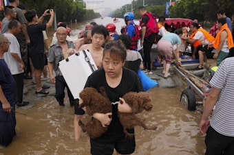 caption: A woman carries her pet dogs as residents are evacuated on rubber boats through floodwaters in northern China's Hebei province in August 2023 amid severe flooding from Typhoon Doksuri. 2023 was the hottest year ever recorded, scientists say.