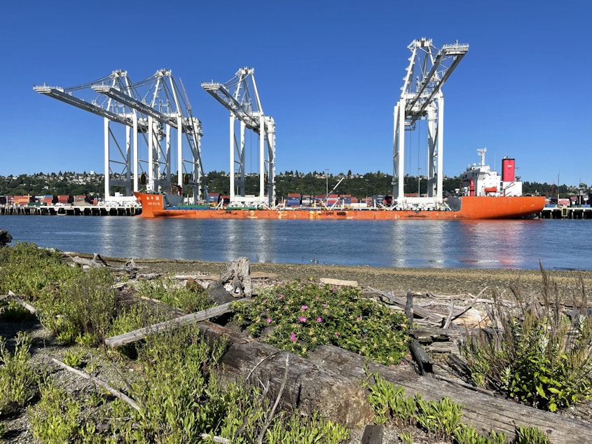 caption: On Monday morning June 21, 2021, three of the four 316-foot tall cranes from China had been unloaded from the ship that carried them across the ocean at the Port of Seattle's Terminal 5.