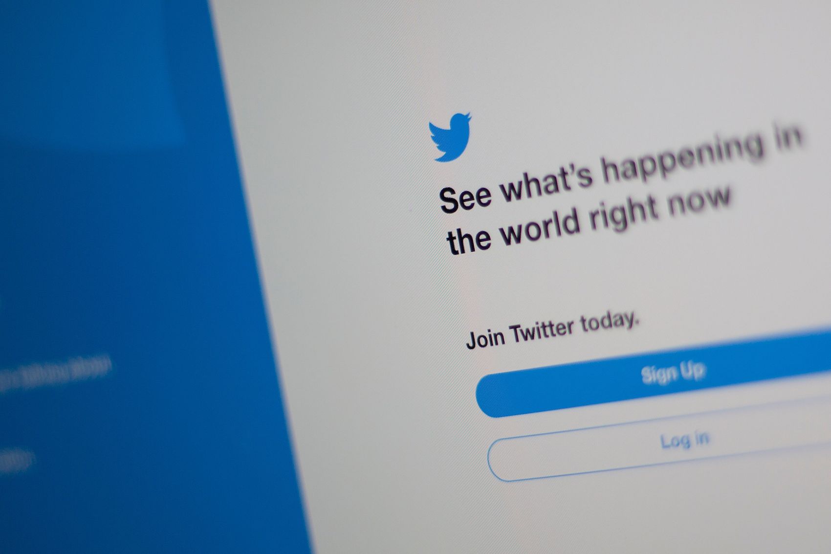 caption: The Twitter logo is seen on a computer in this photo illustration in Washington, DC, on July 10, 2019. (Alastair Pike/AFP via Getty Images)