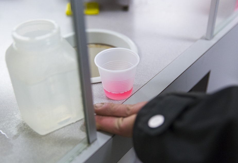 caption: The pink stuff is Kevin Boggs' daily dose of methadone, treatment for his heroin addiction. Boggs says it tastes nasty, but it has allowed him to pursue a more normal life and to get a job as a welder in Redmond. 