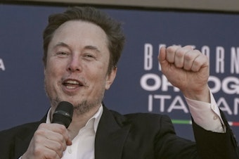 caption: Tesla CEO Elon Musk waves as he arrives at the annual political festival Atreju, organized by the Giorgia Meloni's Brothers of Italy political party, in Rome, Dec. 16, 2023.