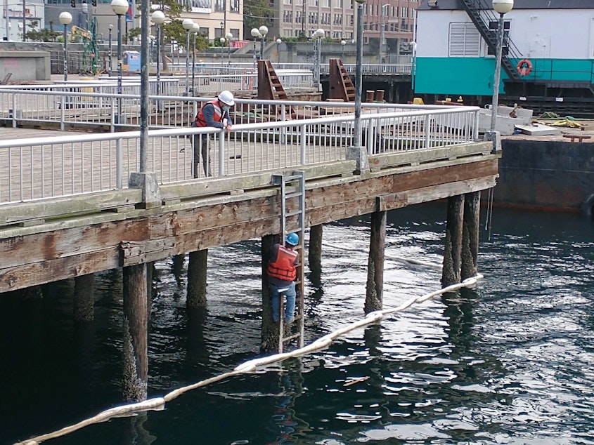 caption: Workers on Pier 58, Monday September 21.