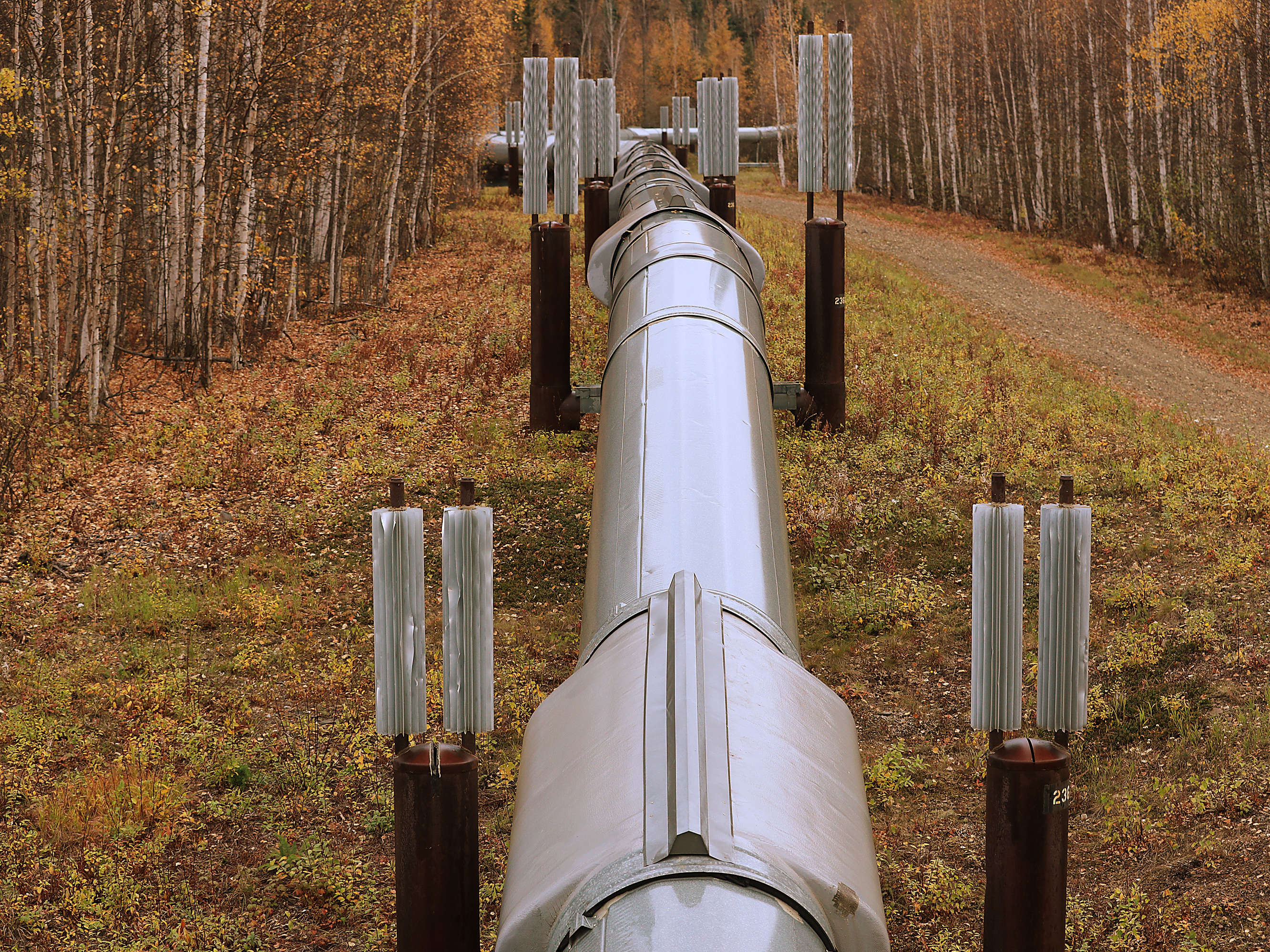 caption: A part of the Trans Alaska Pipeline System is seen in Fairbanks, Alaska in September 2019. Environmentalists say a proposed new drilling project, the Willow Master Development Plan, would disturb Alaska's critical wildlife habitat with more surface-level oil infrastructure.