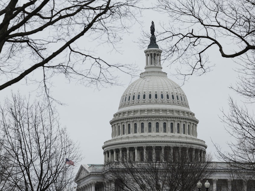 caption: The U.S. Capitol Building is seen on Jan. 19, 2023.