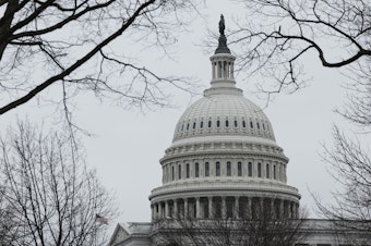 caption: The U.S. Capitol Building is seen on Jan. 19, 2023.