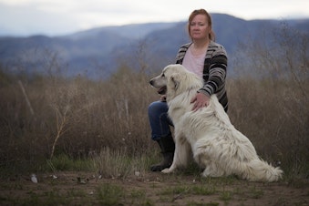 caption: Elise Walker poses for a portrait with her Great Pyrenees, Mina, on Monday, April 22, 2019, at her home on Old Highway 97 in Okanogan. Walker has three scanners in her home playing at all times to monitor fire calls. 