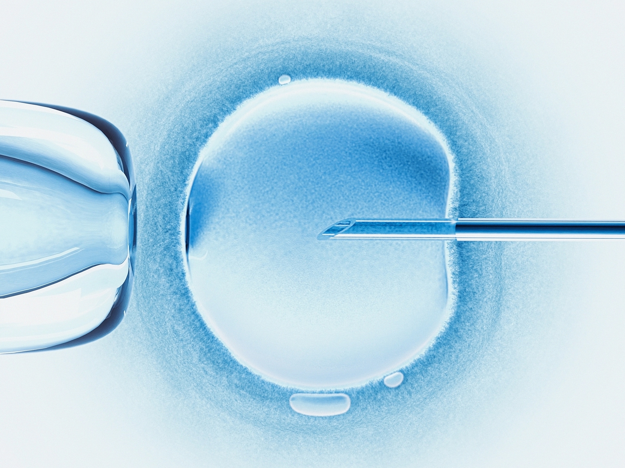 caption: In vitro fertilisation, computer artwork.