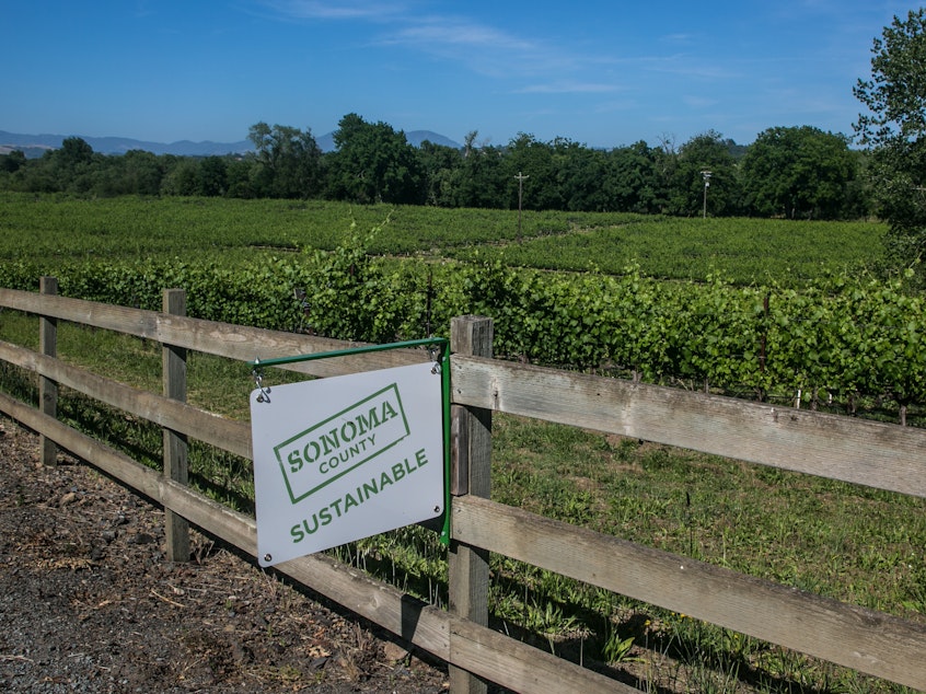caption: A "Sonoma Sustainable" sign hangs along a road in the Russian River Valley near Healdsburg, Calif.