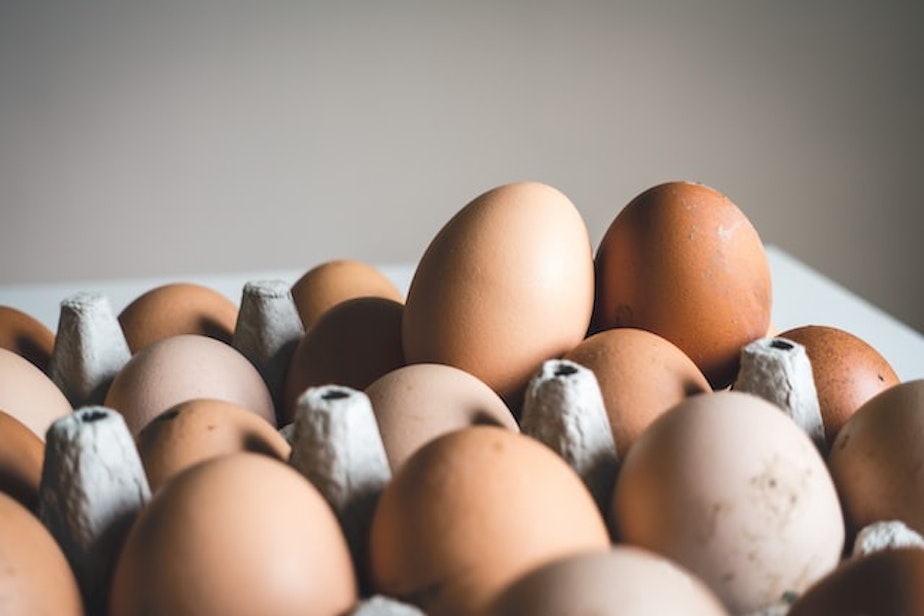 egg eggs generic