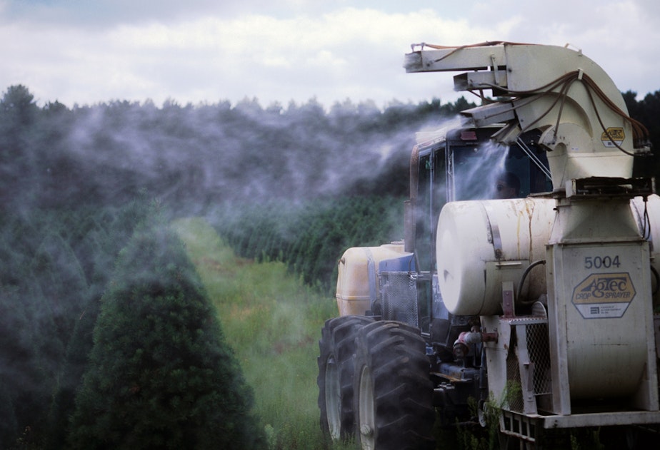 caption: Machinery spraying pesticide on rows of Christmas trees at tree farm near Wautoma, Wis., in 2011.