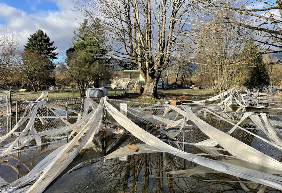 caption: The plastic wrapper from a hay bale makes this property look like it's been "toilet papered" after the floods receded in Hamilton, Washington.