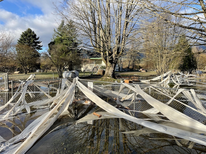 caption: The plastic wrapper from a hay bale makes this property look like it's been "toilet papered" after the floods receded in Hamilton, Washington.