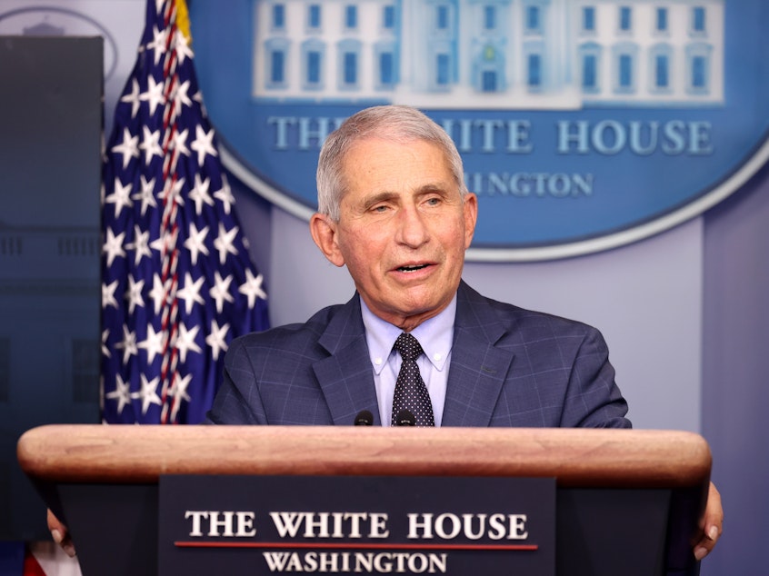 caption: Dr. Anthony Fauci speaks during a White House Coronavirus Task Force press briefing Thursday at the White House.