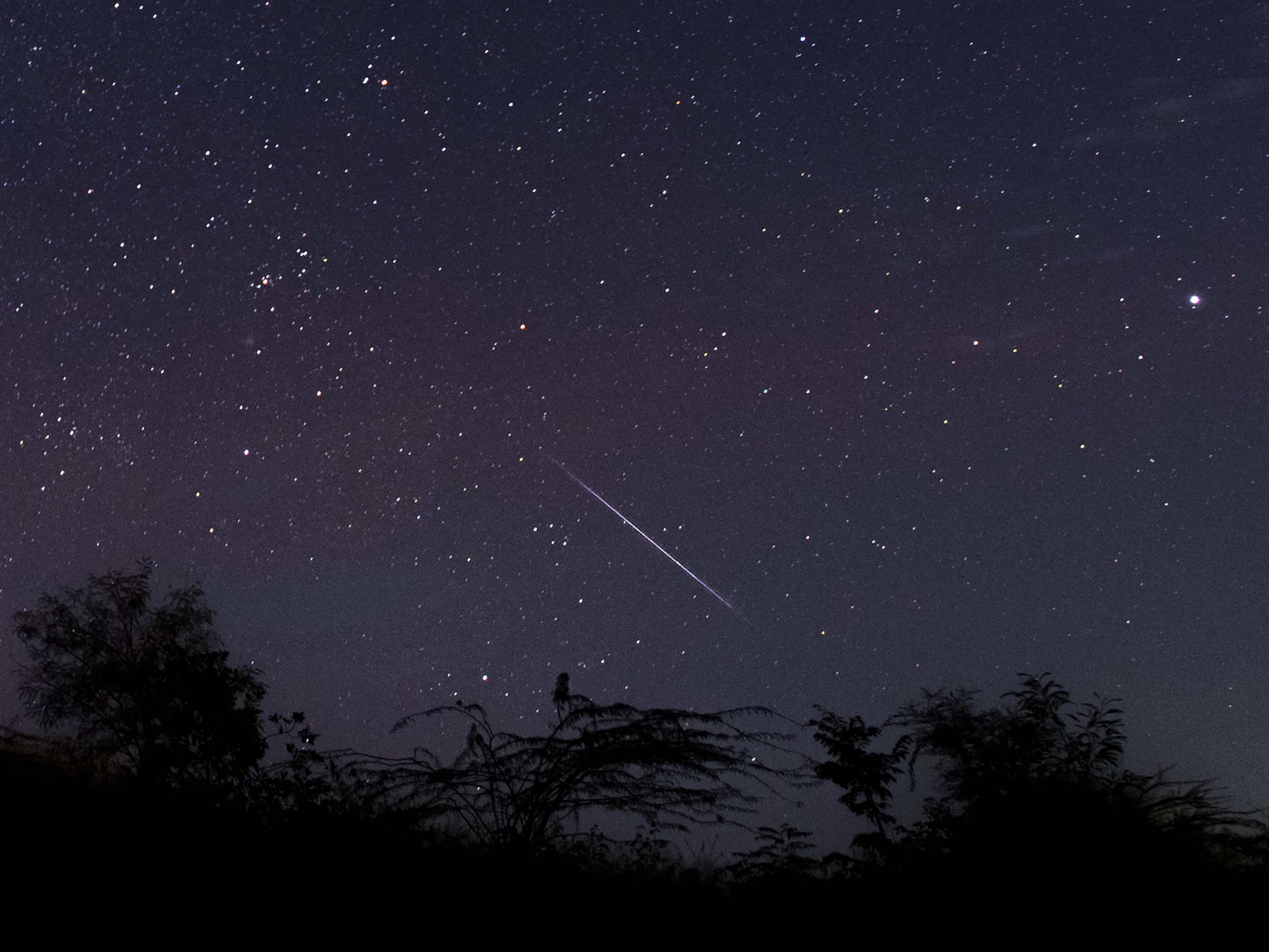 KUOW - You'll Have The Best View Of The Geminid Meteor Shower Overnight ...