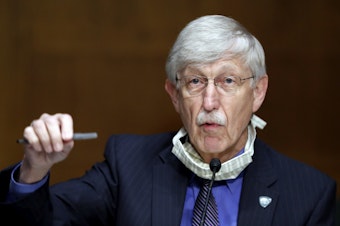 caption: National Institutes of Health Director Dr. Francis Collins speaks during a Senate hearing earlier this year. On Thursday, Collins called on religious leaders to keep their worship spaces closed, despite rising protests from some church leaders.