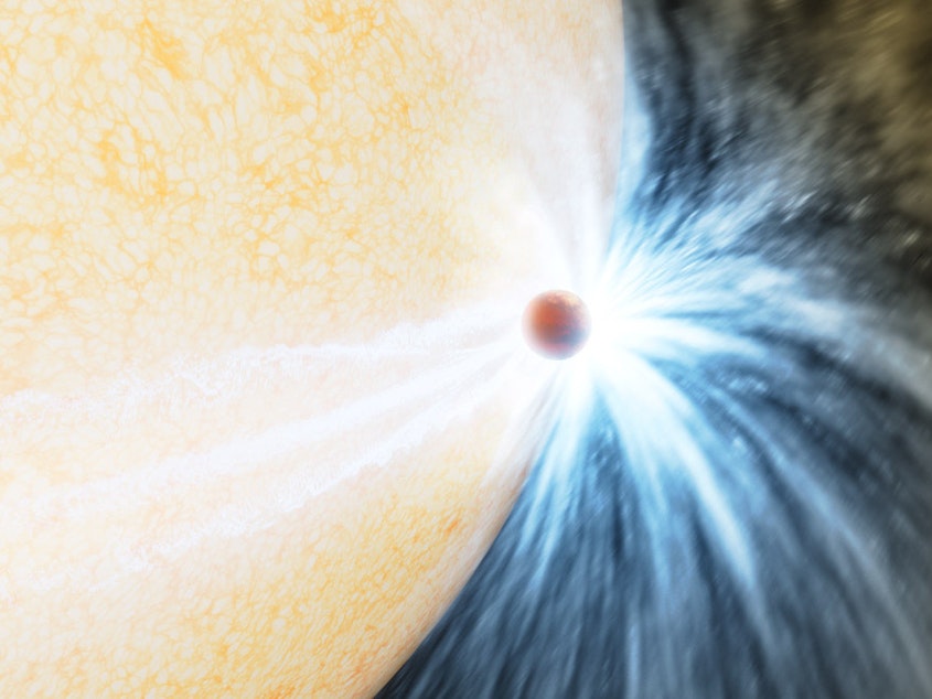 caption: An artist's impression of an aging star swelling up and beginning to engulf a planet, much like the Sun will do in about 5 billion years.
