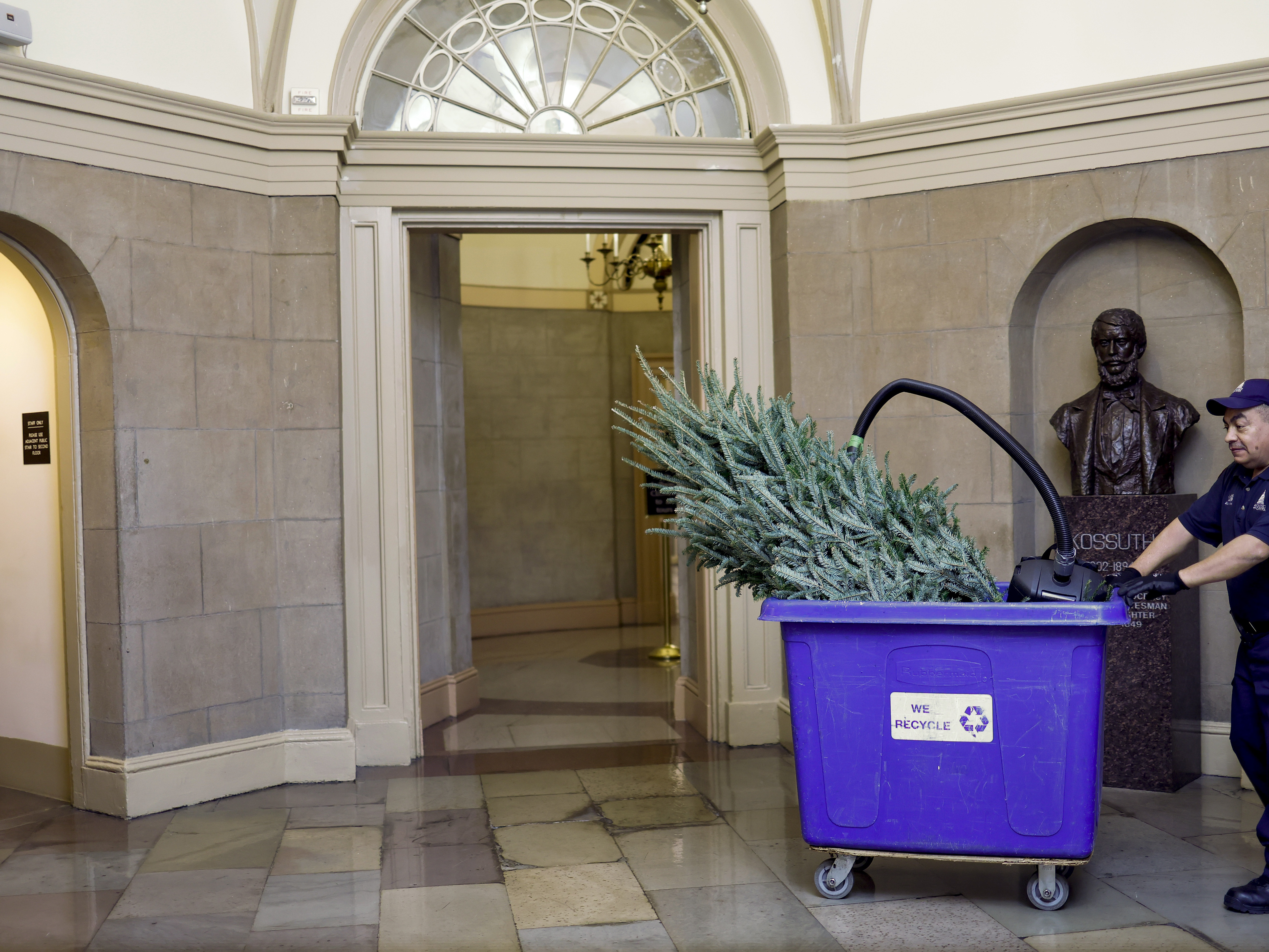 caption: A staff member with the Architect of the Capitol carries a Christmas tree in a recycling bin through the U.S. Capitol in Washington, Dec. 23, 2022.