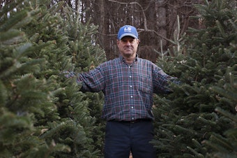 caption: Joey Clawson at one of his Christmas tree stands on the first day of harvest. He grows about 95,000 firs on his operation.