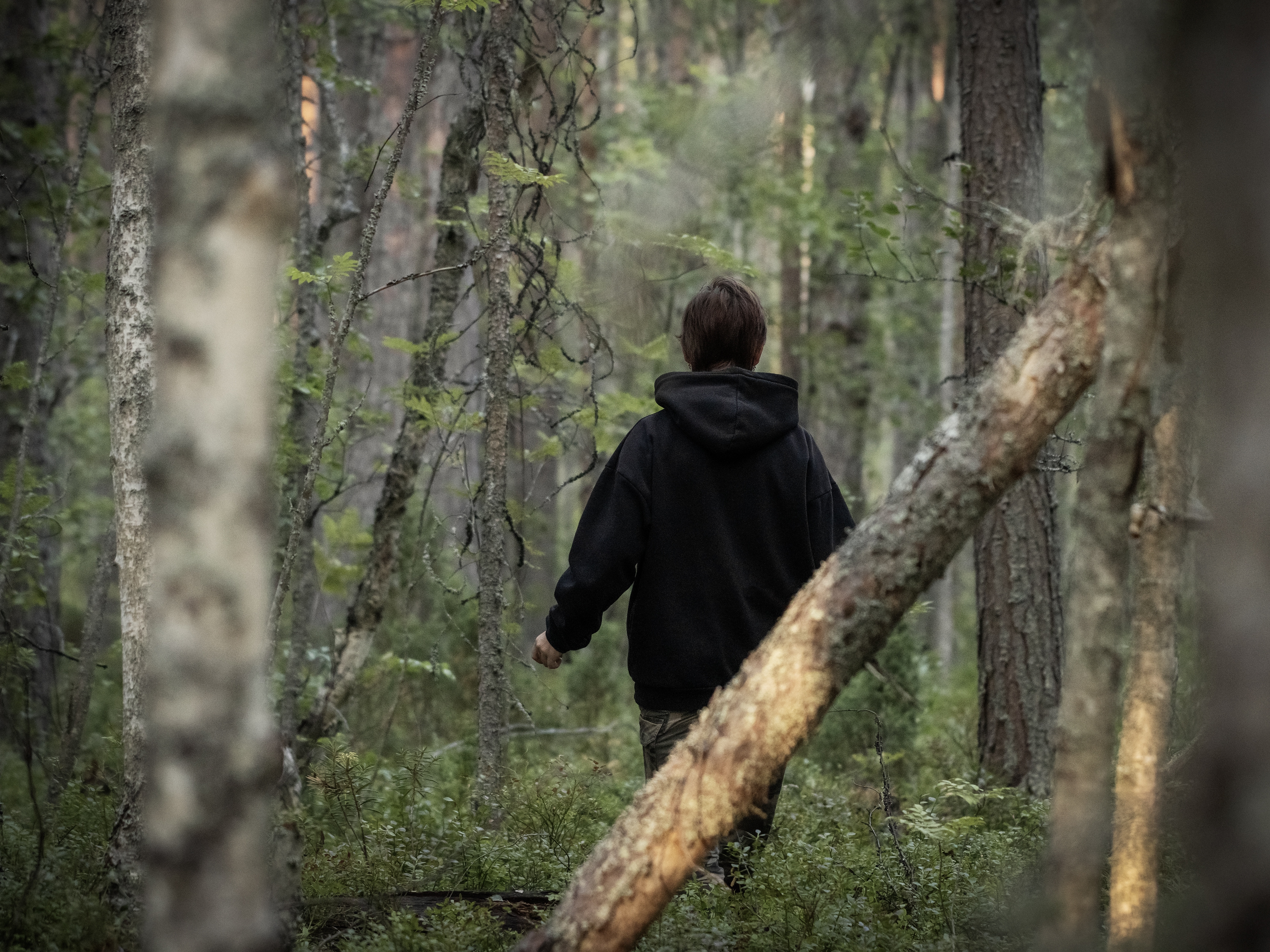 caption: The latest Youth Risk Behavior Survey found high rates of suicidal thoughts and experiences of sexual violence among teens.