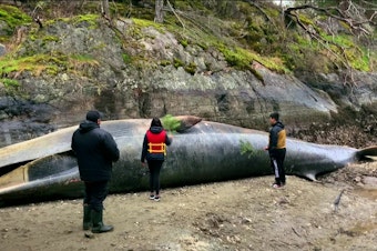 caption: Members of the shíshálh Nation conduct a memorial ceremonty for a fin whale near Pender Harbour, B.C, on March 20.