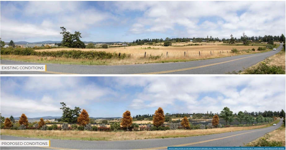 caption: A depiction of the changing views in the San Juan Valley on San Juan Island, Washington, with and without a proposed solar power and battery-storage project. 