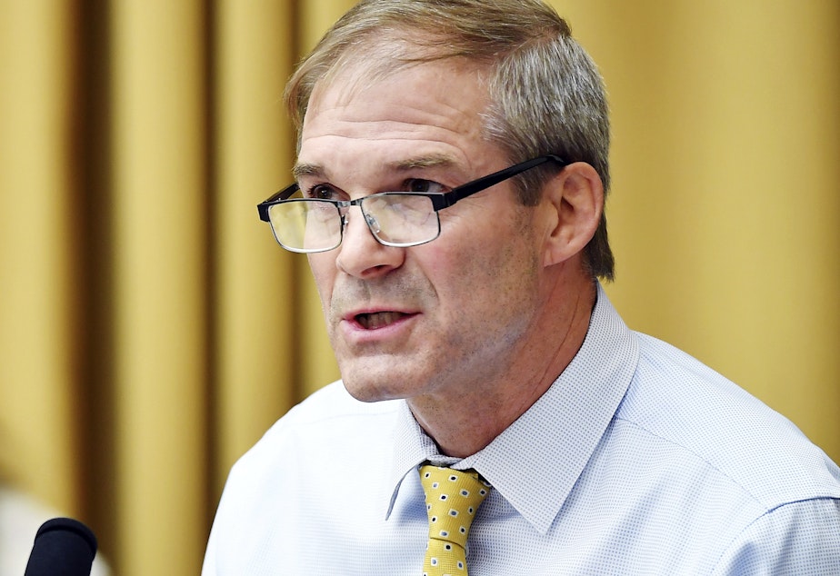 caption: Rep Jim Jordan, D-Ohio, speaks during a House Judiciary subcommittee on antitrust on Capitol Hill.