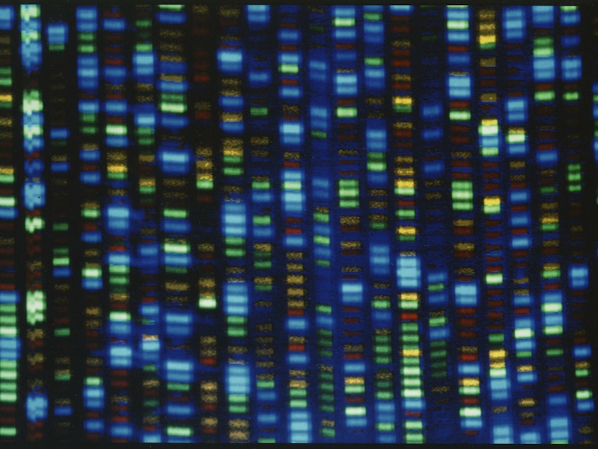 caption: Results from a DNA sequencer used in the Human Genome Project.
