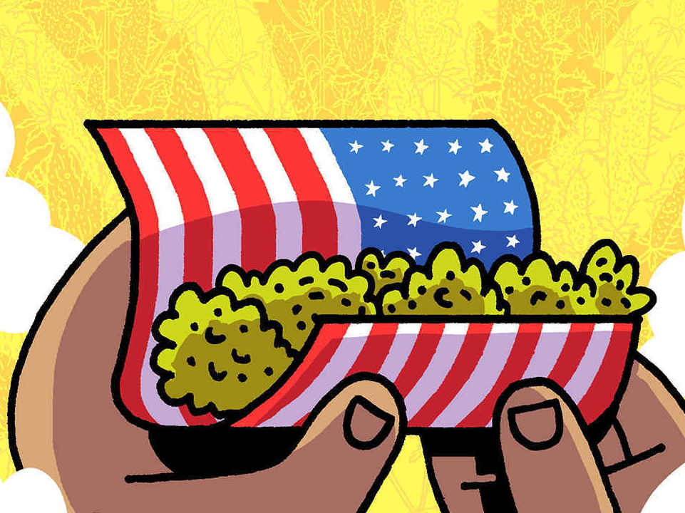 caption: <em>Cannabis: The Illegalization of Weed in America</em>, by Box Brown