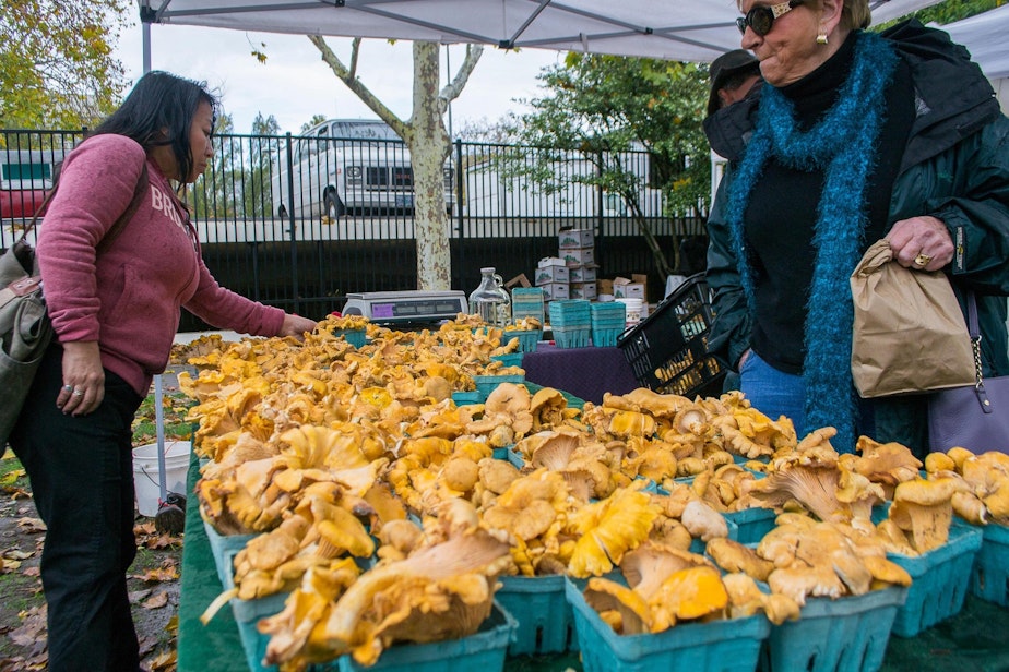 caption: Pacific golden chanterelles at the Eugene Saturday Market in the fall of 2013.