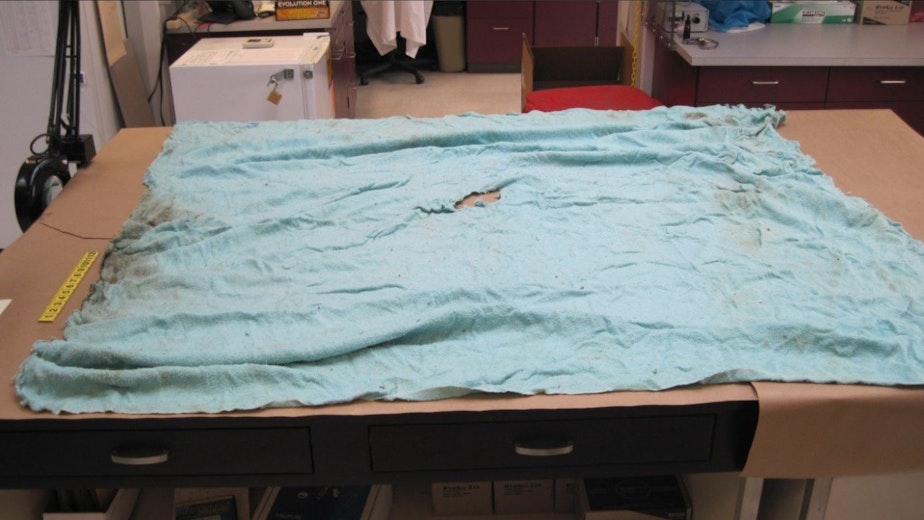 caption: The blue blanket that was found wrapped around Jay Cook, 20, when a hunter found his body in 1987.