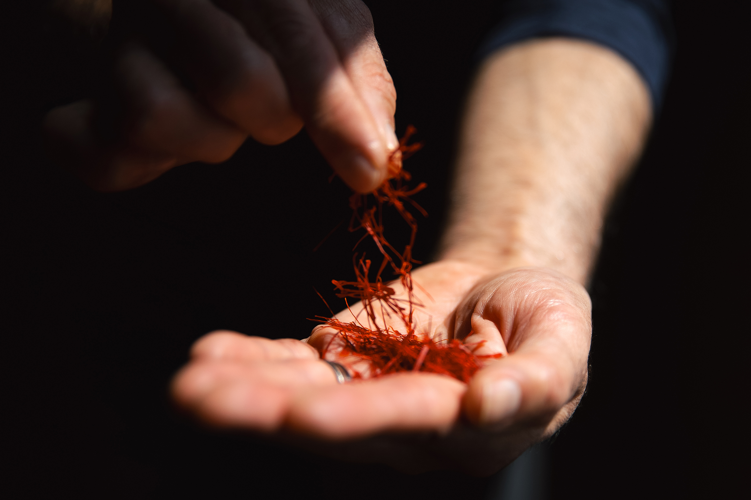 caption: Chef and cookbook author Omid Roustaei holds saffron threads on Wednesday, April 23, 2025, at The Pantry in the Ballard neighborhood of Seattle. Rousteai said representation matters. “It accounts for our unique cultures. It accounts as a demographic that exists in this culture," he said. "We’re just bringing more light and more awareness.”